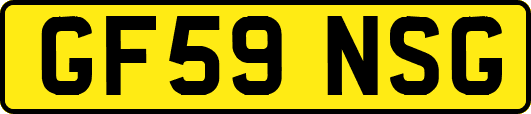 GF59NSG