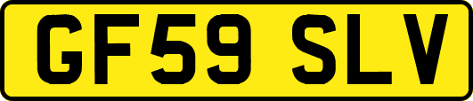 GF59SLV