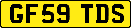 GF59TDS