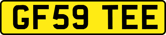 GF59TEE