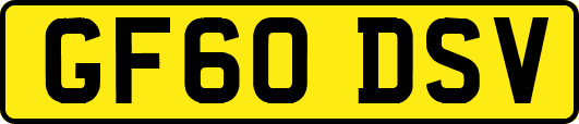 GF60DSV