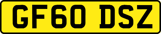 GF60DSZ