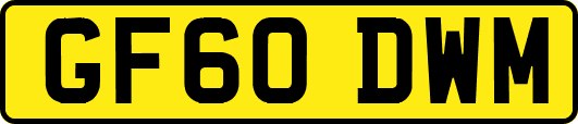 GF60DWM