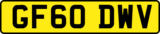 GF60DWV