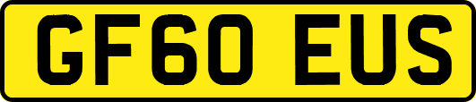 GF60EUS