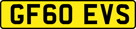 GF60EVS