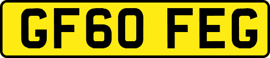 GF60FEG