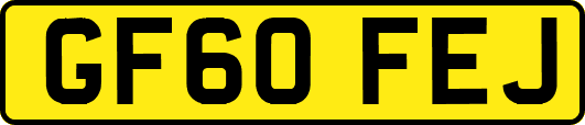 GF60FEJ