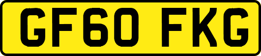 GF60FKG
