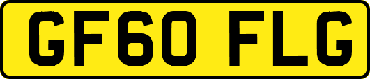 GF60FLG