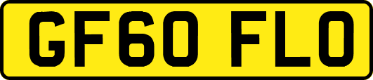 GF60FLO