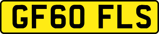 GF60FLS