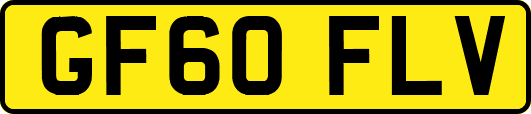 GF60FLV