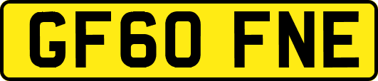 GF60FNE