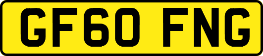 GF60FNG