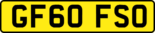 GF60FSO