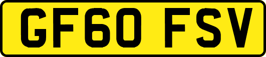 GF60FSV