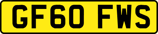 GF60FWS
