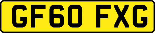 GF60FXG