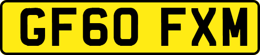 GF60FXM