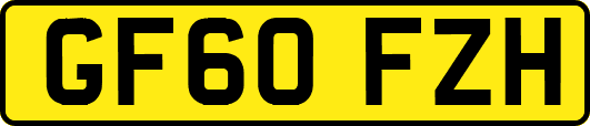 GF60FZH