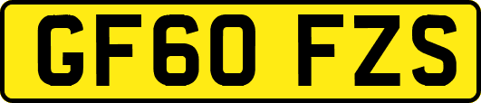 GF60FZS