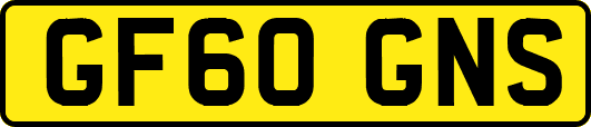 GF60GNS