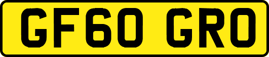 GF60GRO