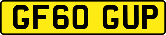 GF60GUP