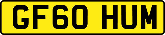 GF60HUM