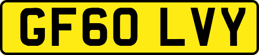 GF60LVY