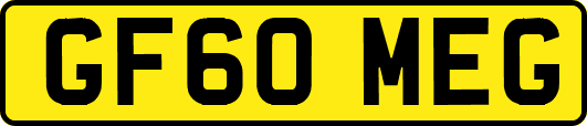 GF60MEG