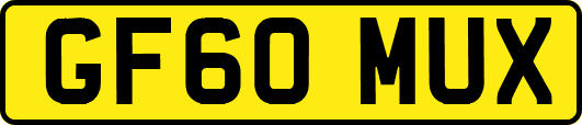 GF60MUX