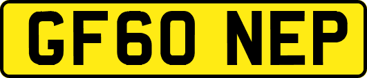 GF60NEP