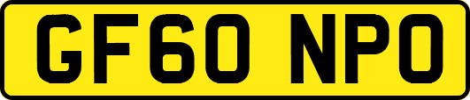 GF60NPO