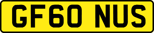 GF60NUS