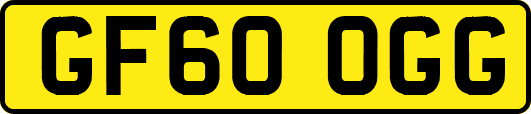 GF60OGG