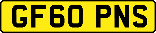 GF60PNS
