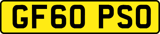 GF60PSO