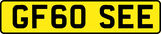 GF60SEE