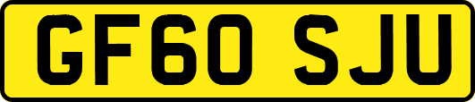GF60SJU