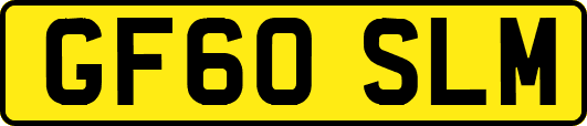 GF60SLM
