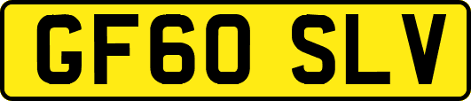GF60SLV
