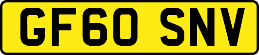 GF60SNV