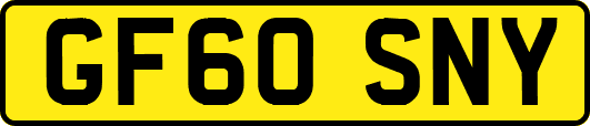GF60SNY