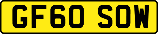GF60SOW