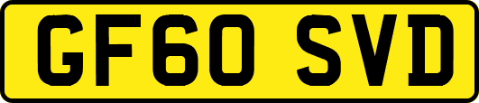 GF60SVD