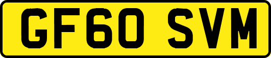 GF60SVM