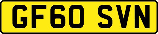 GF60SVN