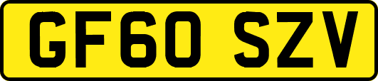 GF60SZV